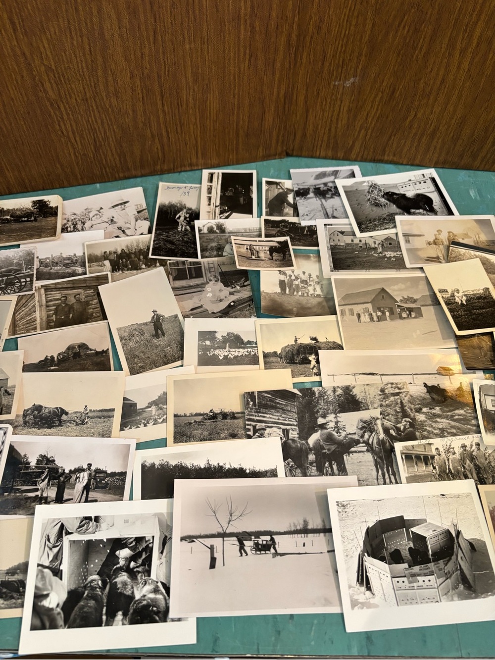 46 black white vintage farm photos animals farmers 1920’s - 1940’s ephemera - Picture 1 of 13
